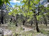 2342 Bobcat Dr - Photo 22