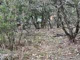 512 Lasso Loop - Photo 10
