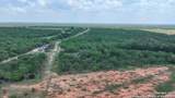 3 County Road 414 - Photo 14