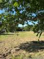 557 Collins St. - Photo 4