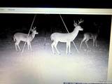 5153 Jim Brite Rd - Photo 20