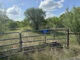 5153 Jim Brite Rd - Photo 3