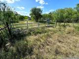 5153 Jim Brite Rd - Photo 7