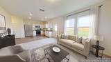 1007 Bulrush Street - Photo 3