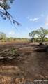 00000 Adkins-St. Hedwig Road - Photo 31