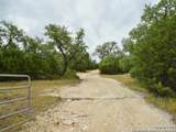31481 Fm 306 - Photo 4