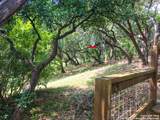 208 Scenic Mountain Dr - Photo 37