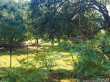208 Scenic Mountain Dr - Photo 42