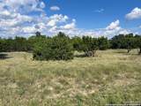 317 Bosque Ridge - Photo 2