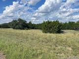 317 Bosque Ridge - Photo 3