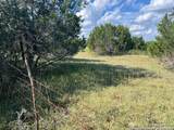 317 Bosque Ridge - Photo 5