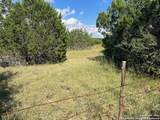 317 Bosque Ridge - Photo 6