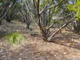 TBD Simmons Road - Photo 22
