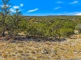 2900 Rocky Ridge Loop - Photo 6