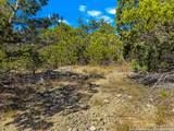2900 Rocky Ridge Loop - Photo 7