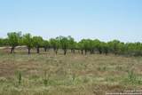 TRACT 6 Fm 1332 - Photo 11