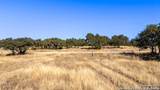 428 Lester Lane - Photo 11