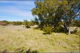 1249 Lester Ln. - Photo 5