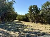 1458 Happy Hollow - Photo 10