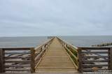 101 Caribbean - Photo 13