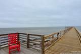101 Caribbean - Photo 14