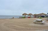 101 Caribbean - Photo 18
