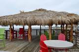 101 Caribbean - Photo 21