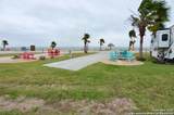 101 Caribbean - Photo 8