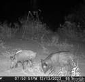 6 Fm 1581 - Photo 11