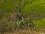 6 Fm 1581 - Photo 22