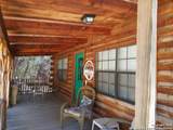 902 Mariposa Ave - Photo 4