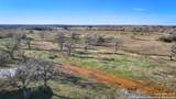 50+/- ACRES Fm 1681 - Photo 7