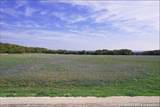 348 Lipan Apache - Photo 1