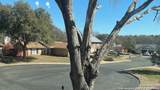2606 Lone Summit St - Photo 3