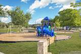 26420 Timberline - Photo 48