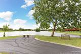 26420 Timberline - Photo 49