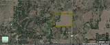 33.16 ACRES Fm 479 - 11-33 Acres Available - Photo 4