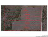 228 ACRES Fm 479 - Photo 1