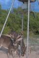 994 Marburger Rd S - Photo 39