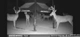 994 Marburger Rd S - Photo 40