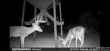 994 Marburger Rd S - Photo 41