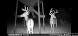 994 Marburger Rd S - Photo 42