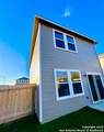3226 Golden Dandelion - Photo 5