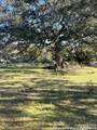 82 Swede Springs - Photo 12