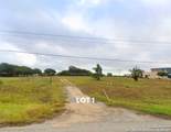 .96 AC LOT 2 Us Hwy 181 - Photo 3