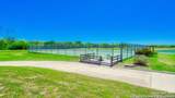 377 Middle Green Loop - Photo 35