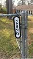 2890 Evangeline Drive - Photo 2