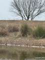 00 County Road 153 - Photo 16
