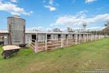 12120 Schaefer Rd - Photo 19