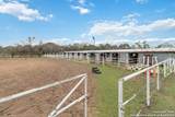 12120 Schaefer Rd - Photo 23